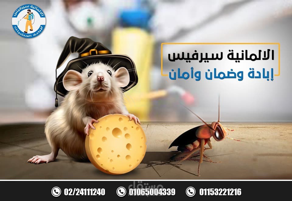 كتابة محتوى عن رش بالمبيدات للحشرات