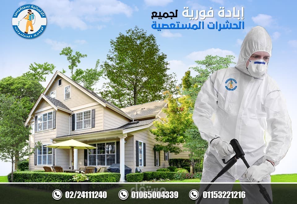 كتابة محتوى لتعقيم ورش بالمبيدات الحشرية