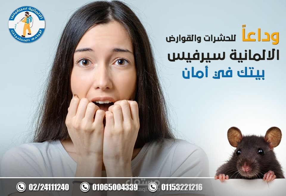 كتابة محتوى تسويقي لمكان رش بالمبيدات للحشرات