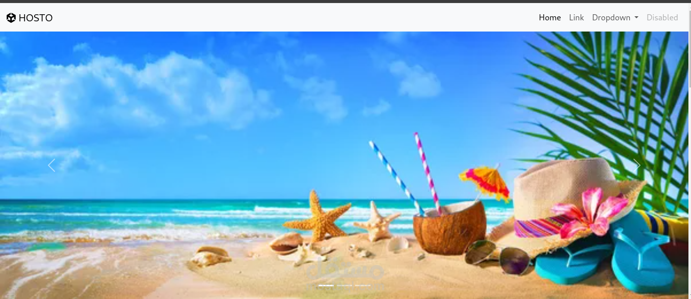 Vacation Website