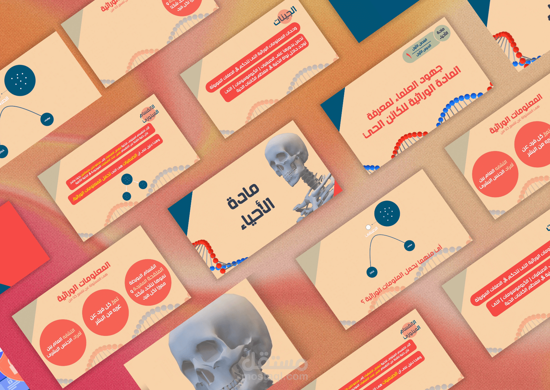 تحويل pdf لمعلومات في عرض تقديمي