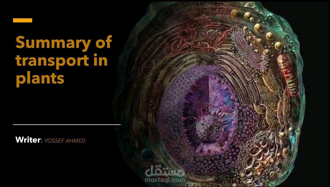 Summary of transport in plants