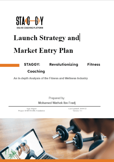 Launch Strategy and Market Entry Plan