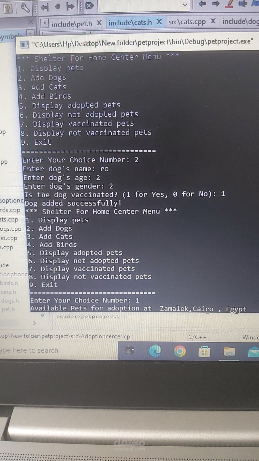 pet adoption