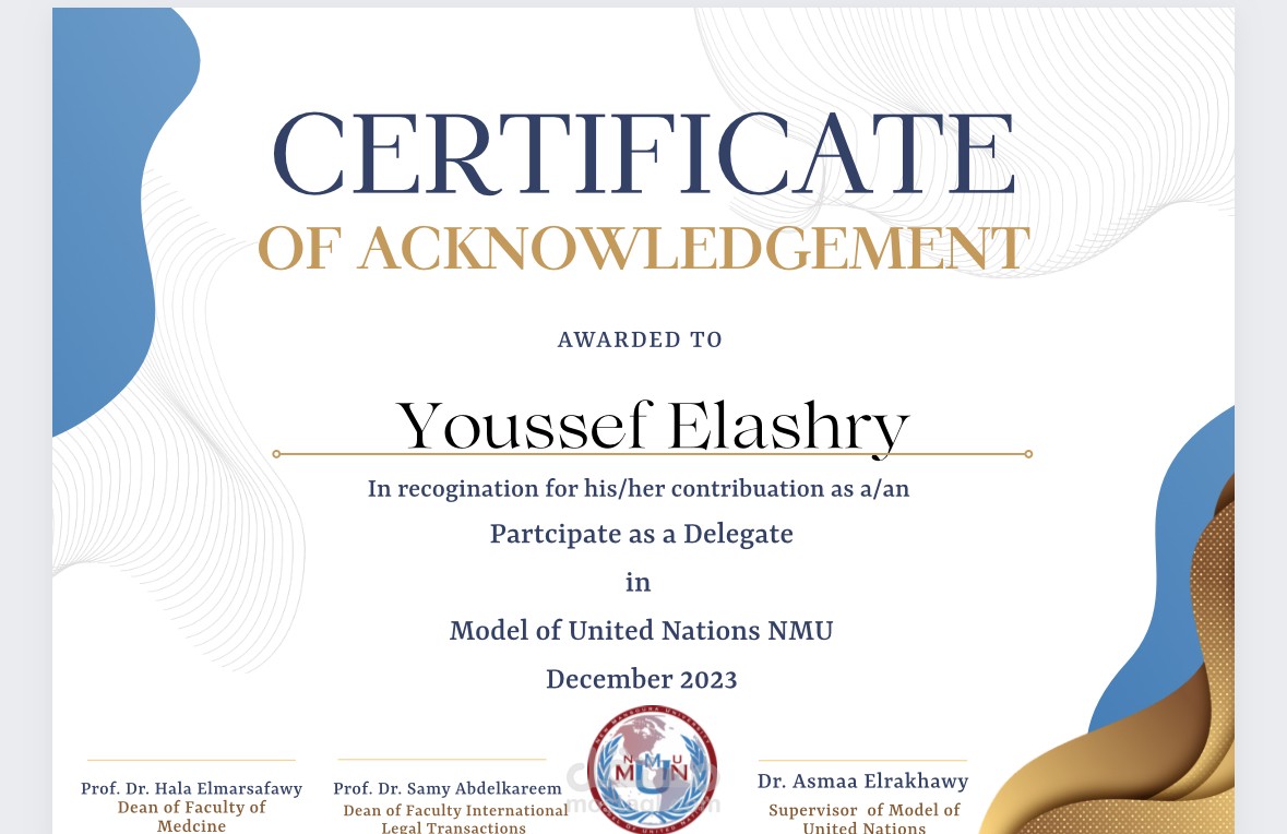 Model of United Nations