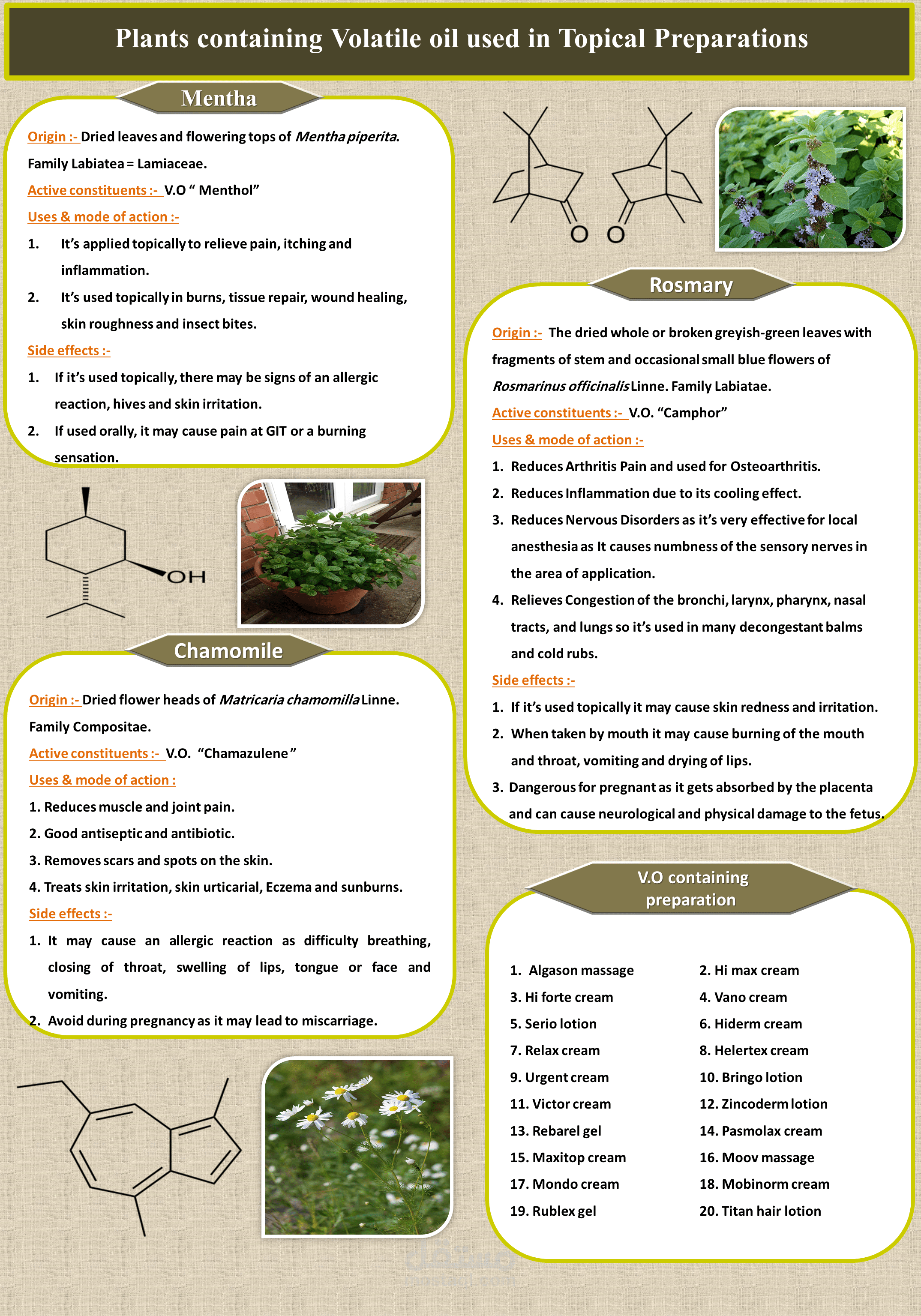 plants containing volatile oils