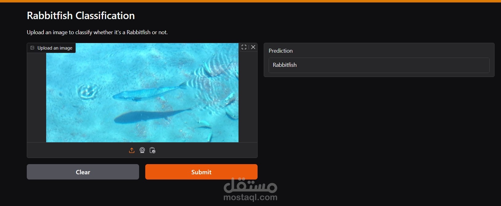 rabbitfish-classification