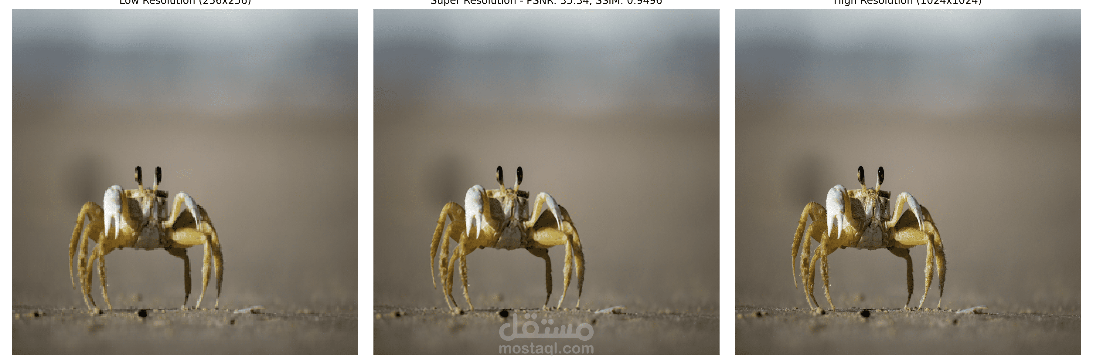 high resolution image