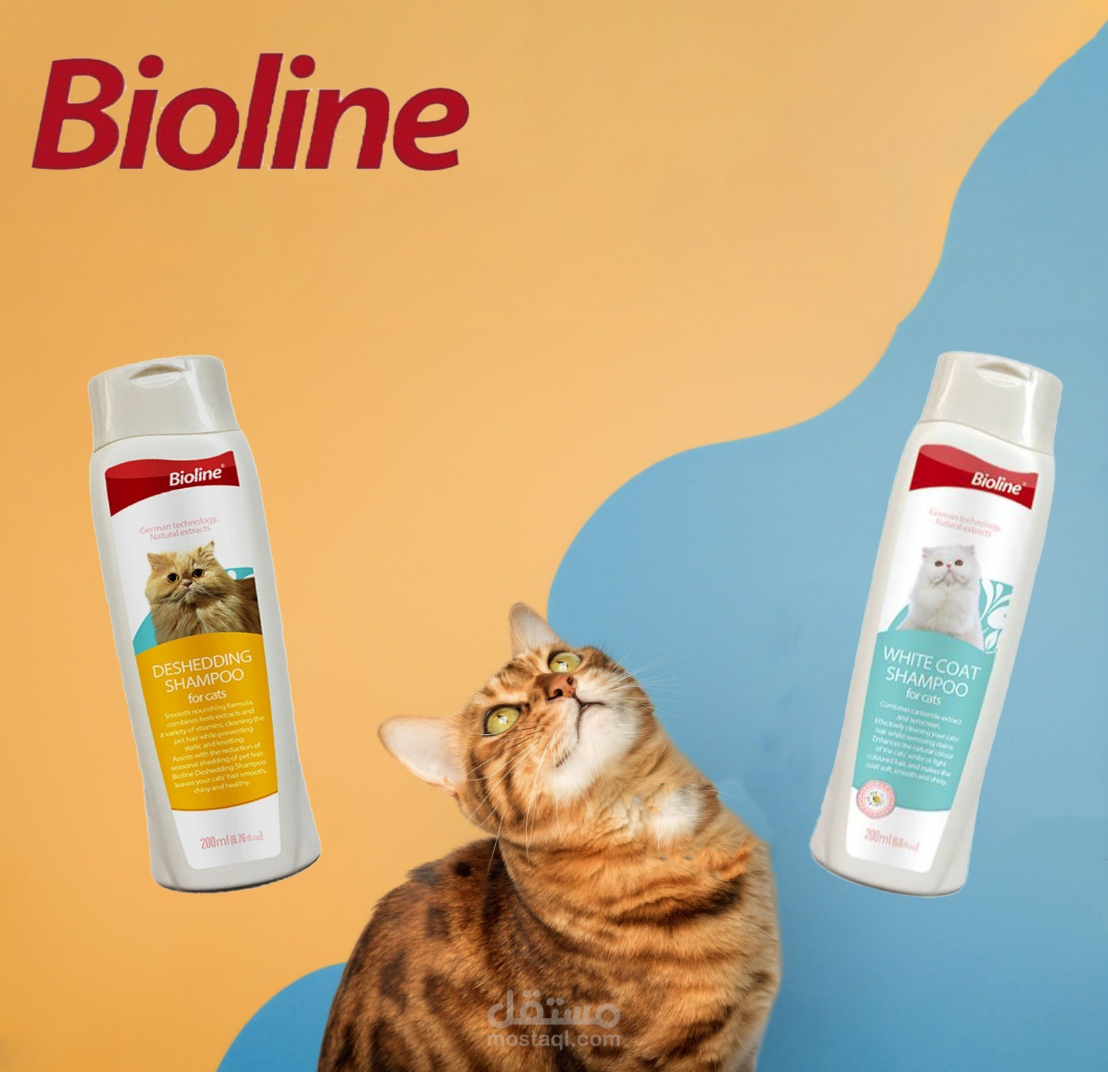 صورة من تصميمي لفاءدة شركة  bioline