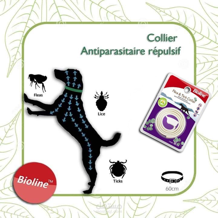 صورة من تصميمي لفاءدة شركة  bioline