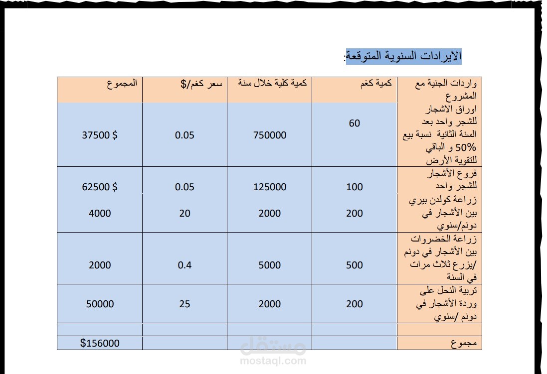دراسة جدوى للشركة