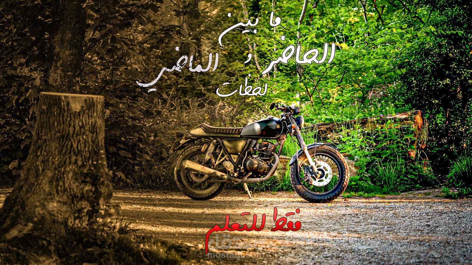 بوست فيسبوك