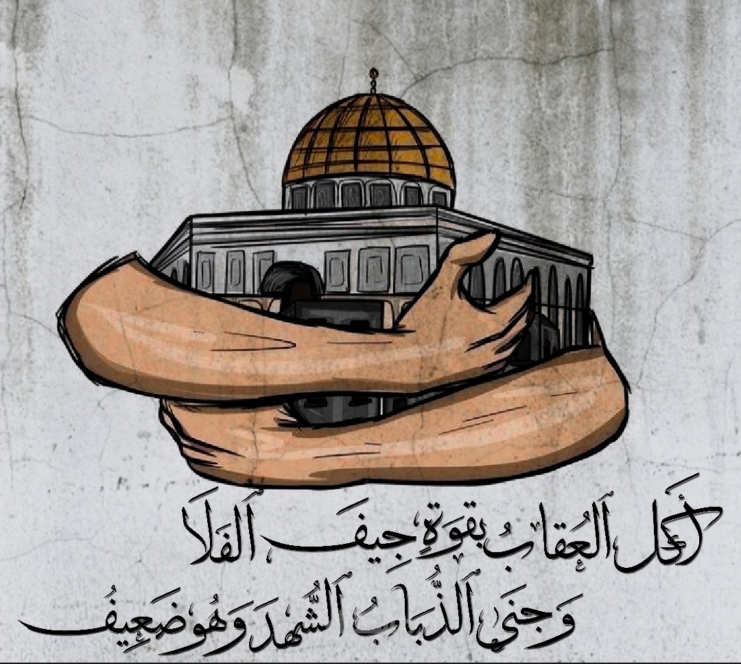 تصميم الصور