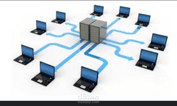 The Networks