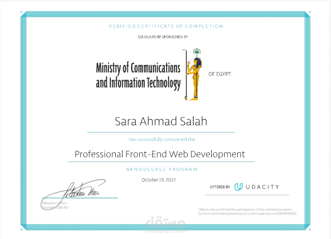 Professional Front-end Development