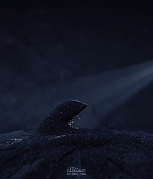 فيديو علامة تجارية