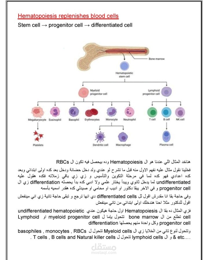شرح محاضرة Biotechnology 1