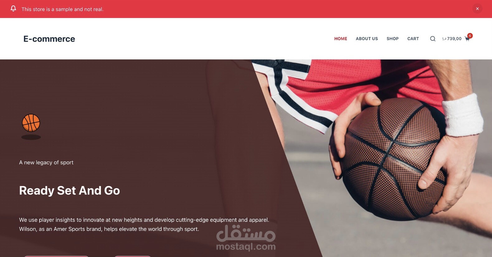 متجر إلكتروني