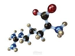 amino acids