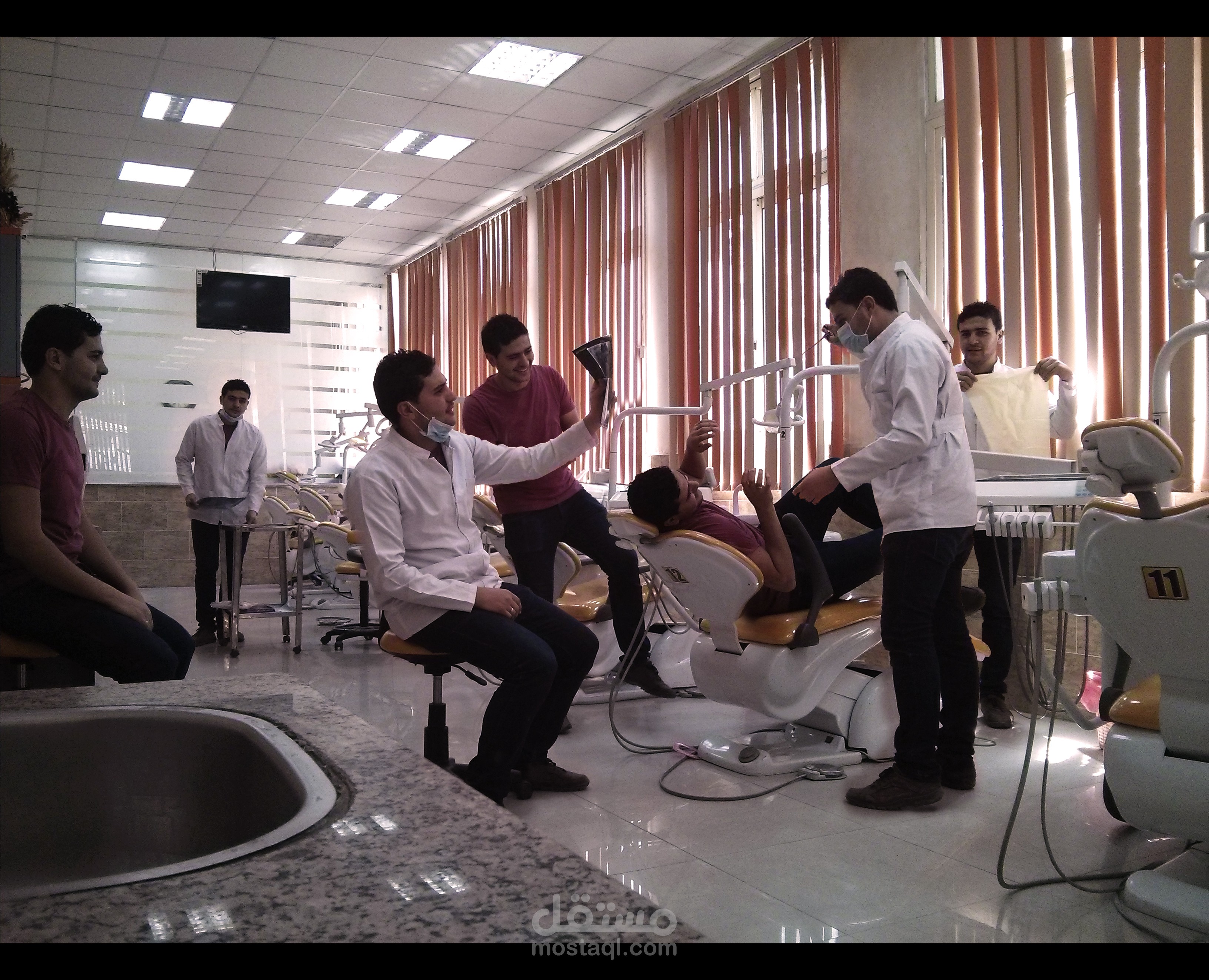 تعددية الصور