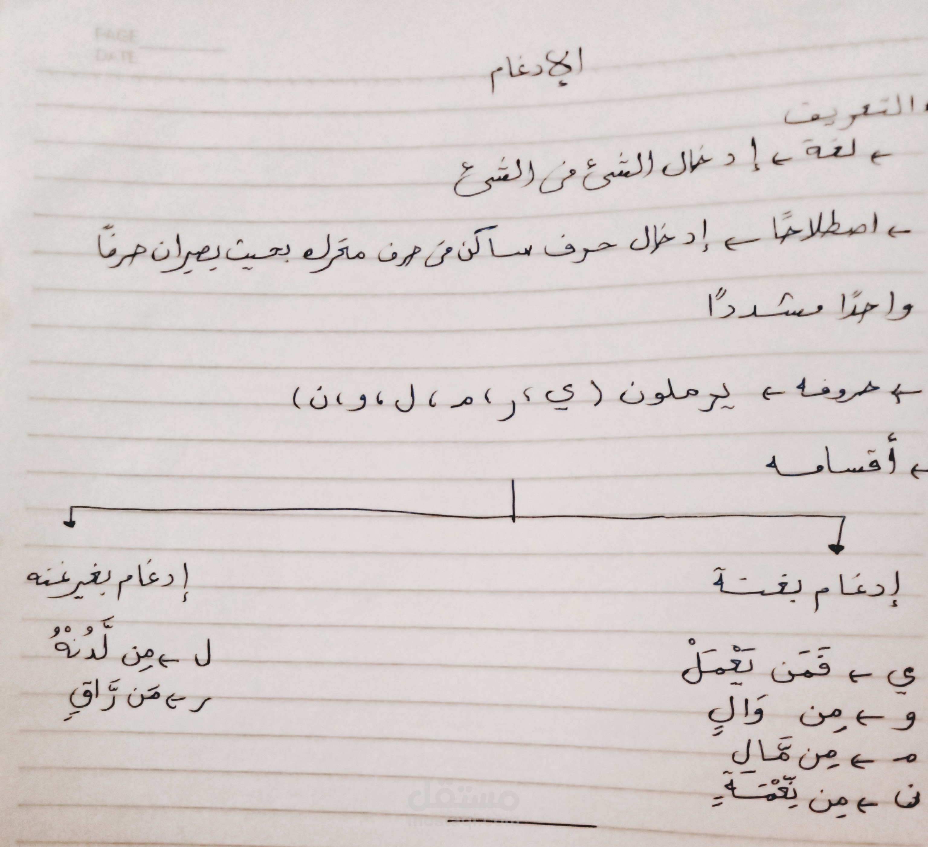 محفظ قرآن وأحكام التجويد