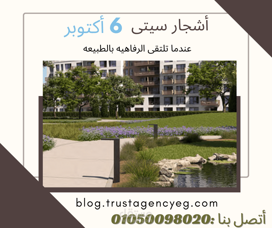 عمل تصميمات وفيديوهات وريلز