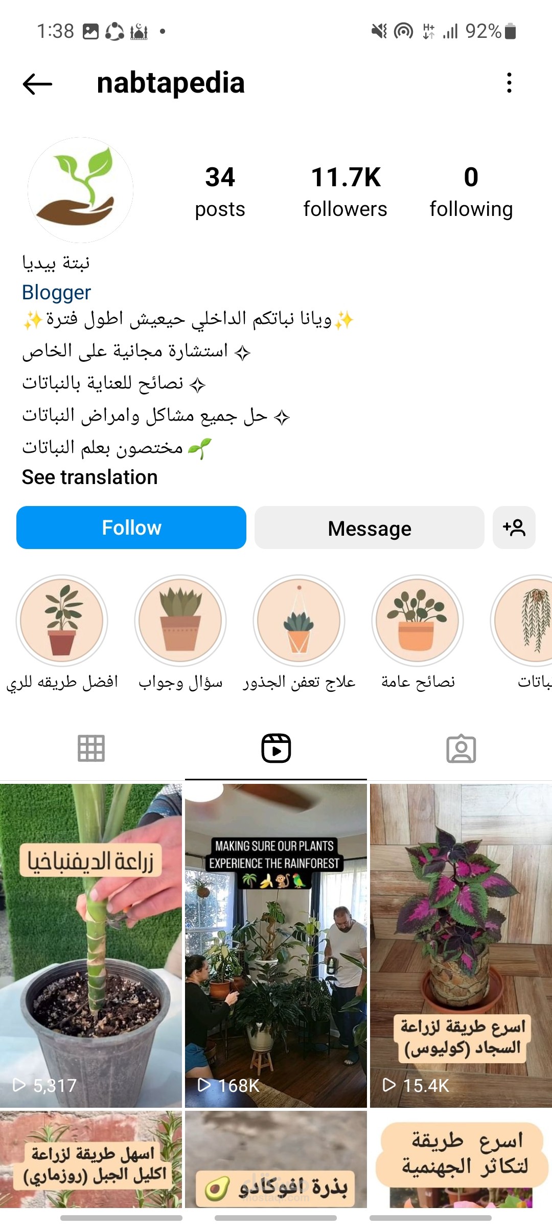 نبتة بيديا