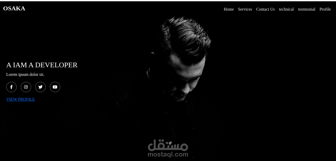 developer website