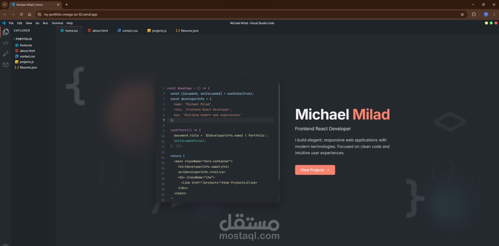 Professional Portfolio Website