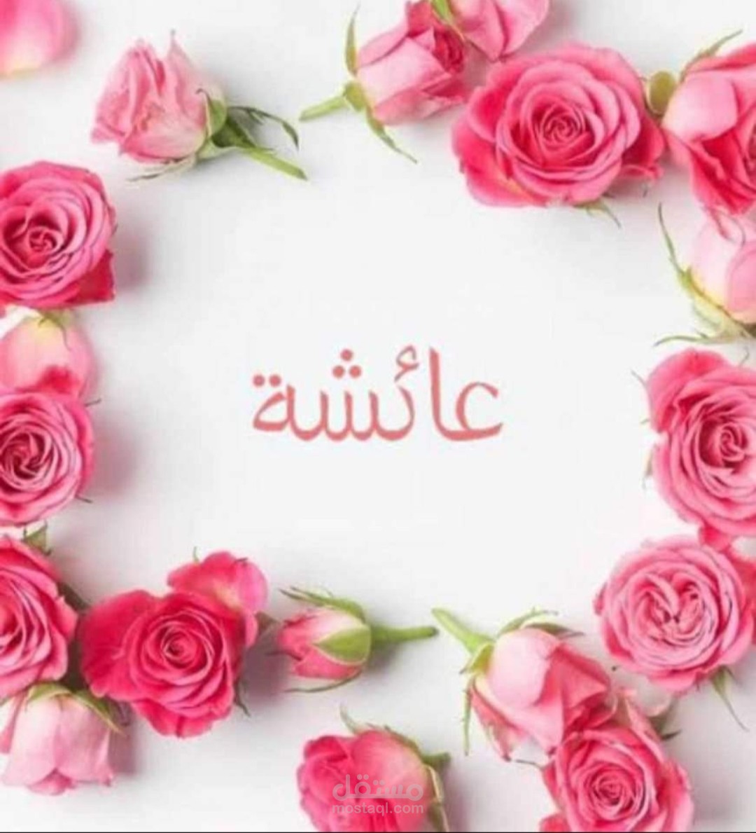 تاثير الفراشة ام تأثير عائشة