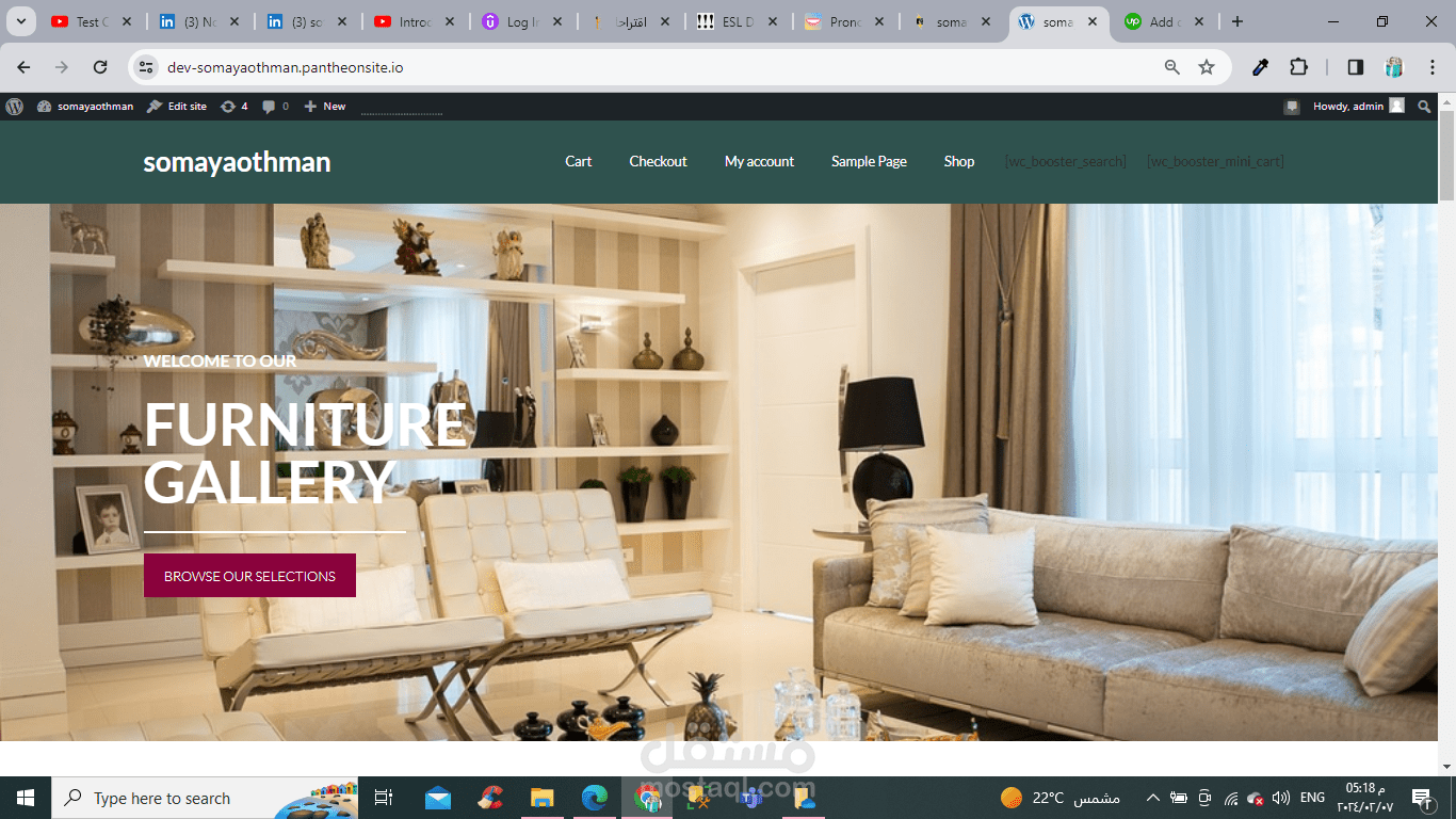 Furniture Project