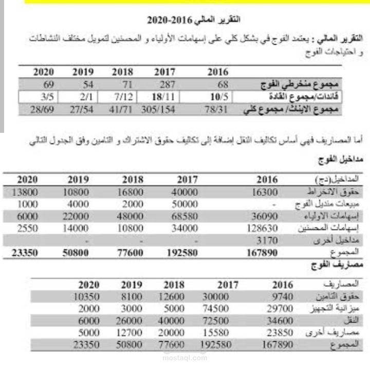 تقرير مالي