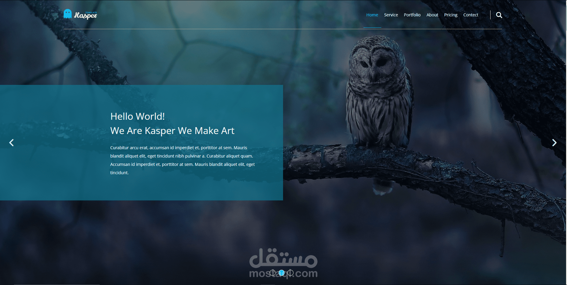 موقع مطور بلغات (HTML,CSS)