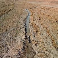 ?How can drought threaten life on Earth