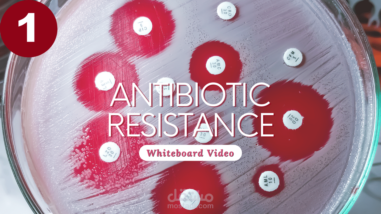 مقاومة المضادات الحيوية (Antibiotic Resistance)