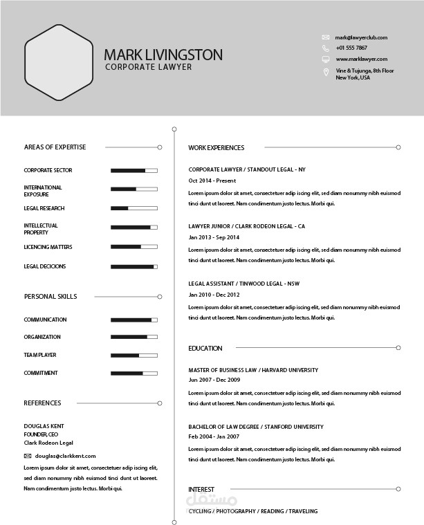 CV mockup