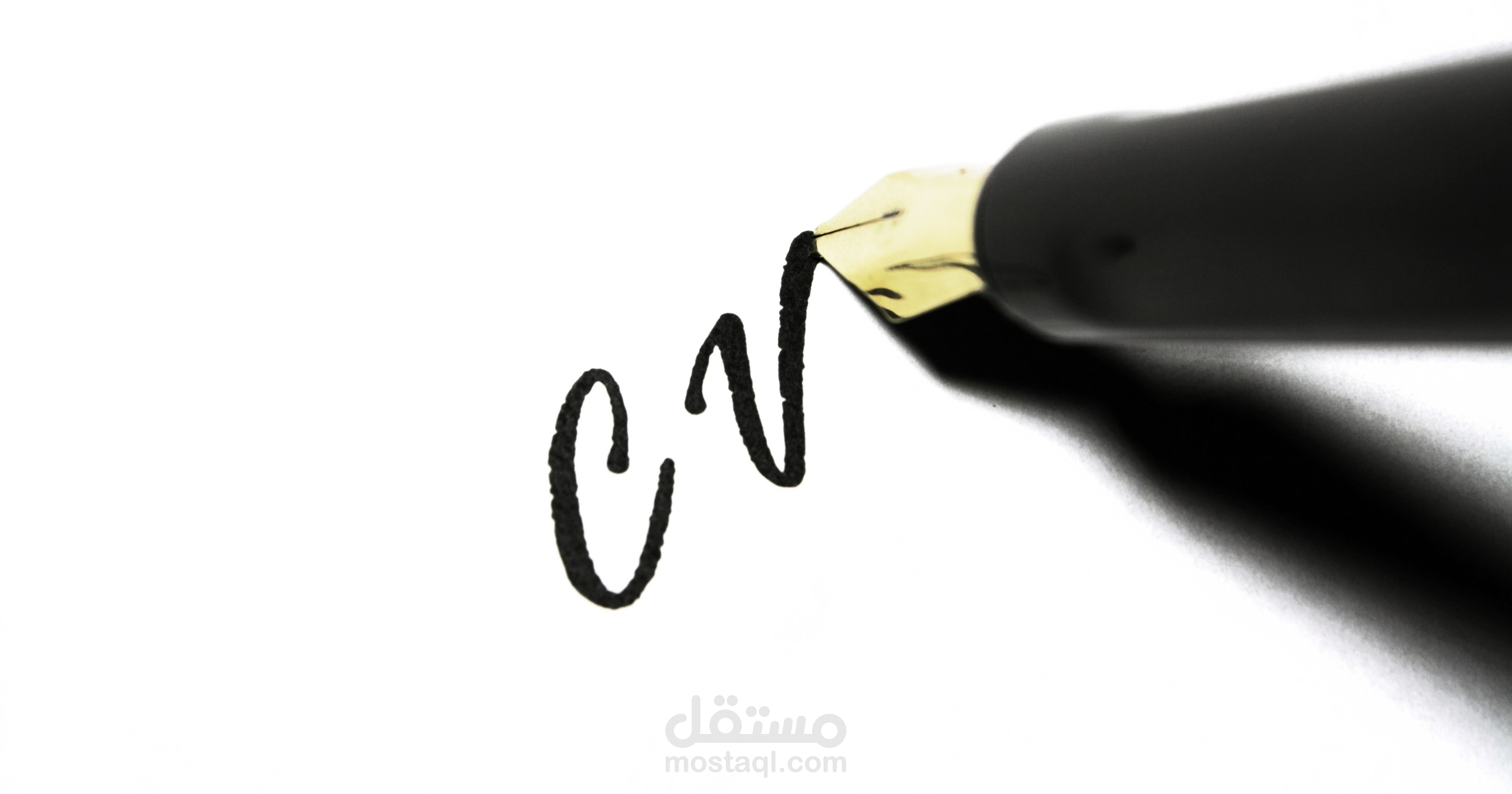 إعداد وتصميم سيرة ذاتية احترافية Cv