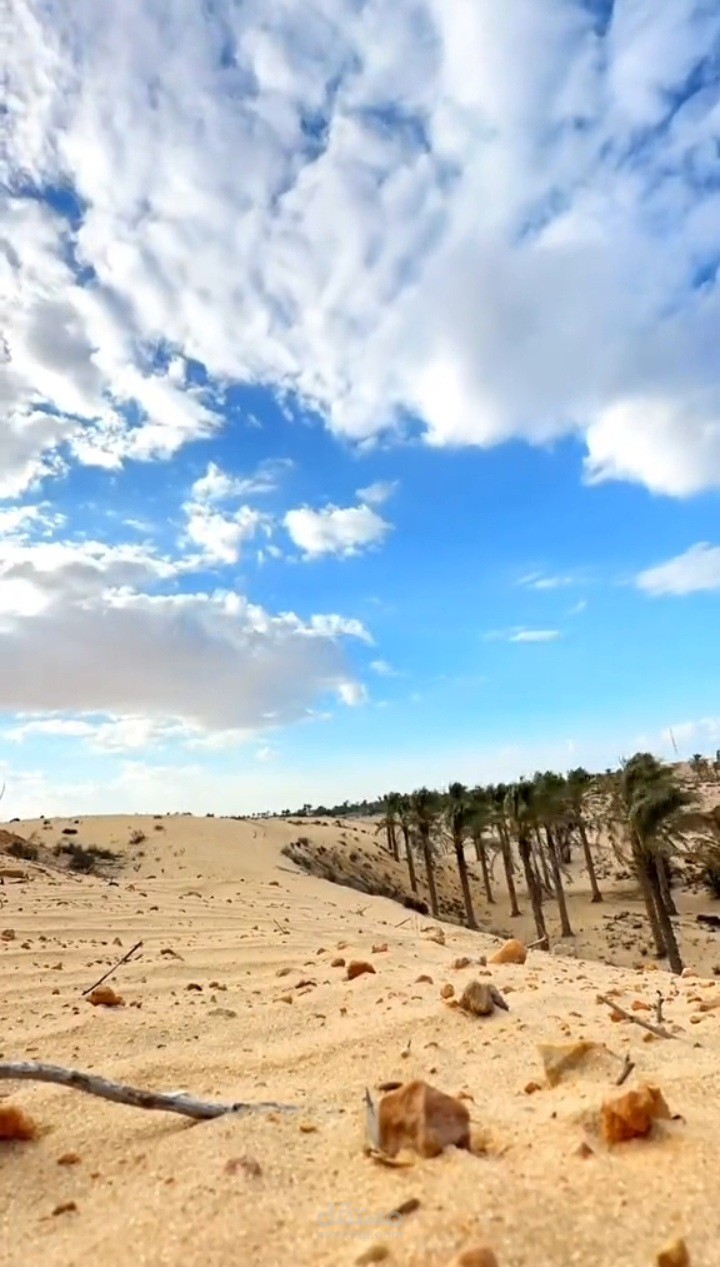 تعديل صور