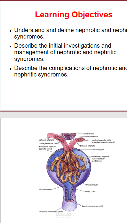 Nephrotic and Nephritic Syndrome