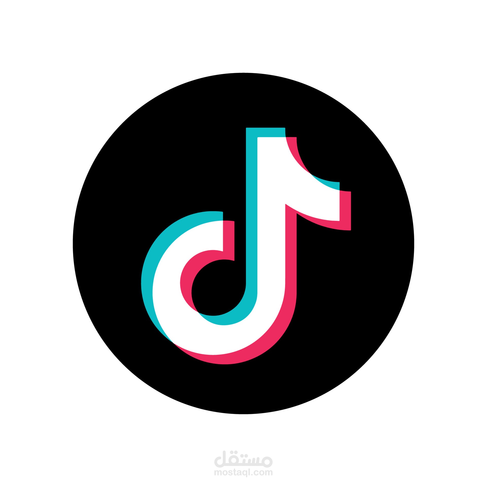 TikTok Media Buyer