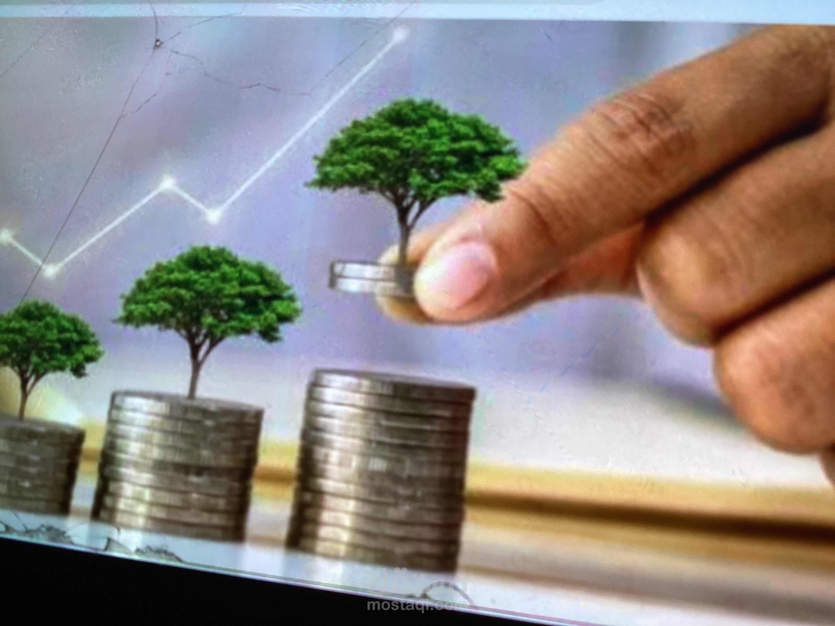 تحديد خطوات الاستثمار الناجح في جميع المجالات