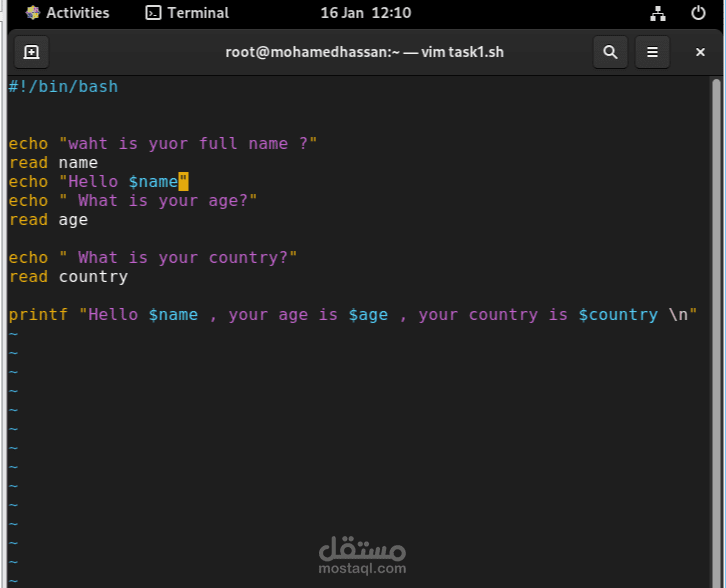 Bash Script