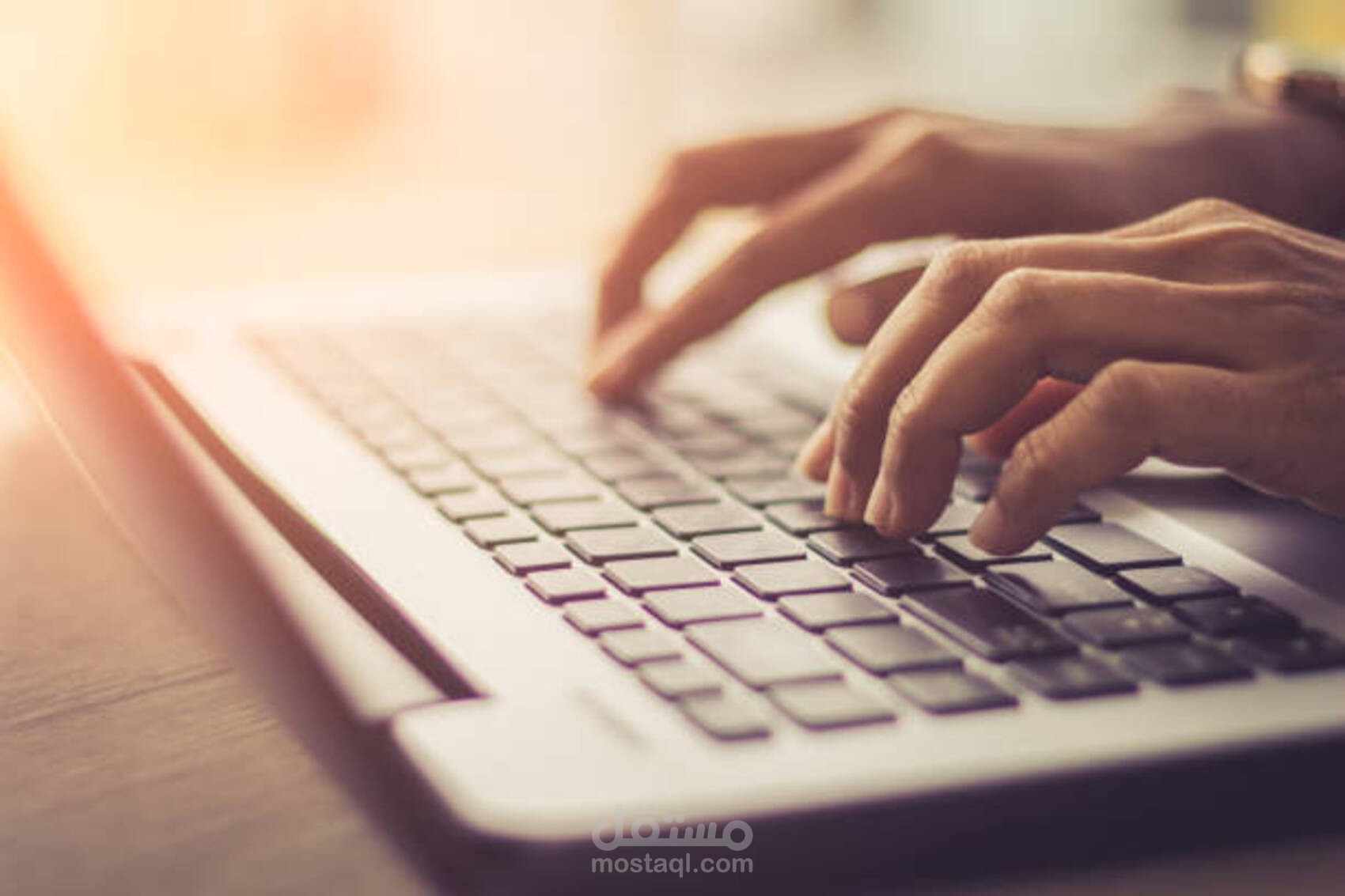 إدخال وتنظيم البيانات على Excel أو Google Sheets
