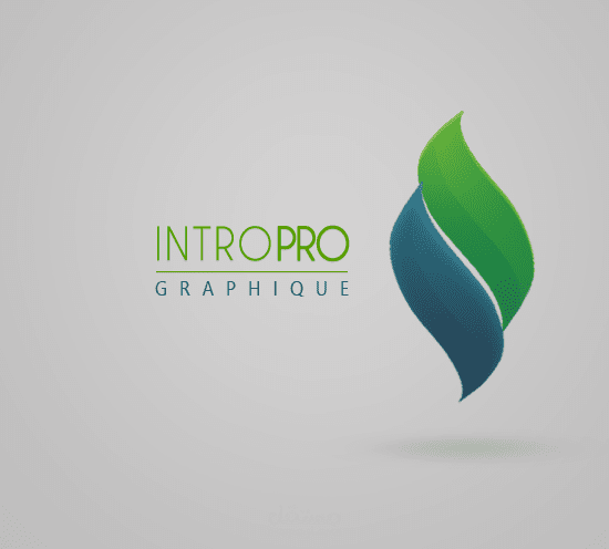 شعار مبتكر و أنيق لمؤسسة تصمم انتروهات