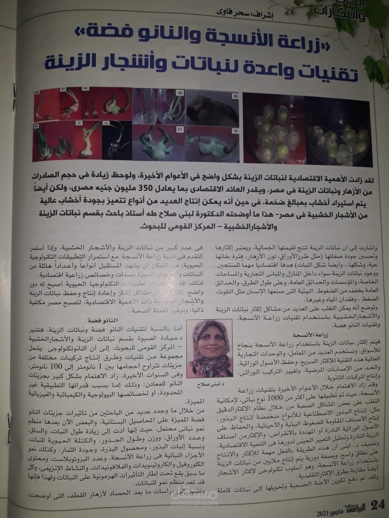 زراعة الأنسجة و النانو فضة (تقنيات واعدة لنباتات و أشجار الزينة )