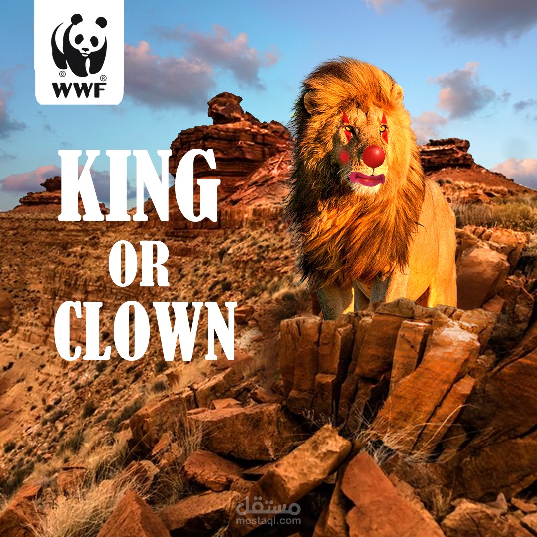 اعلان توعوي لحقوق الحيوان