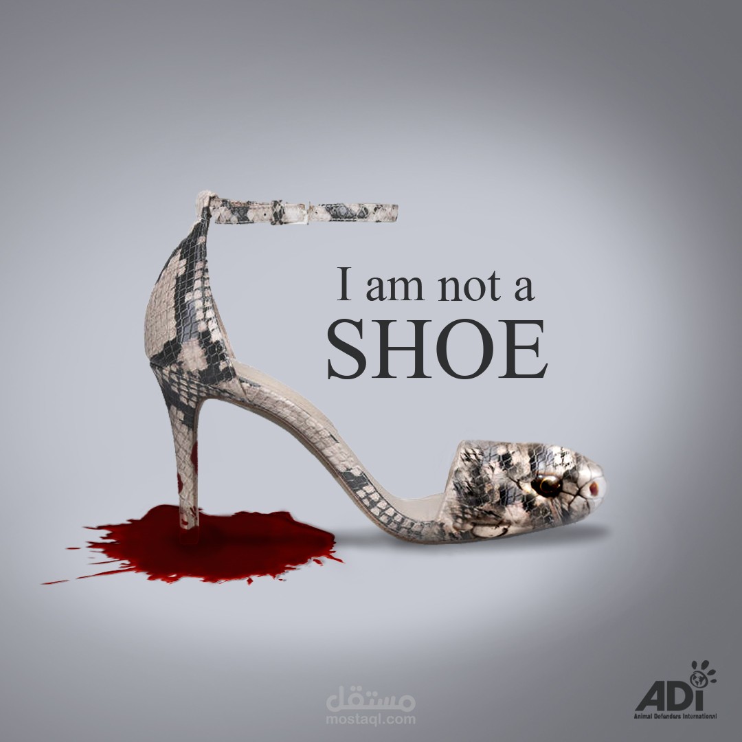 اعلان توعوي لحقوق الحيوان