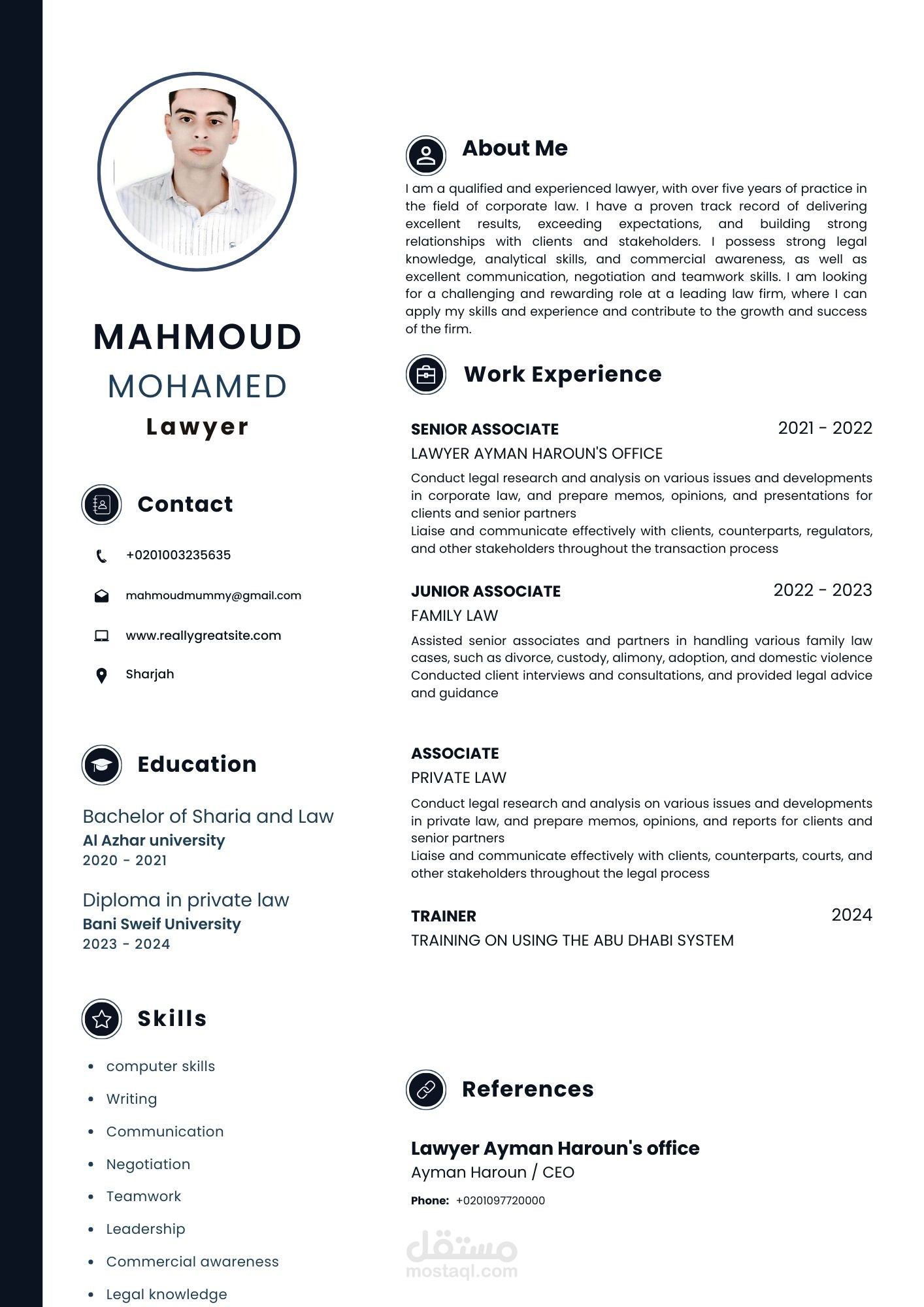 professional CV