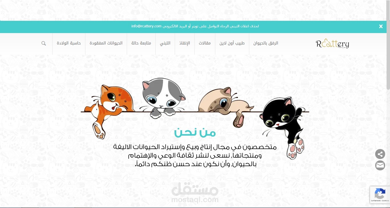 الديدان المعوية في القطط وطرق العلاج والوقاية