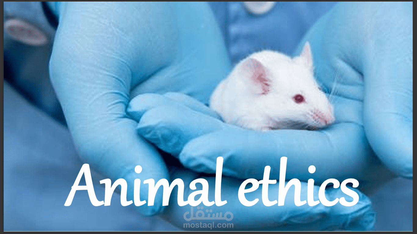 Animal ethics in research